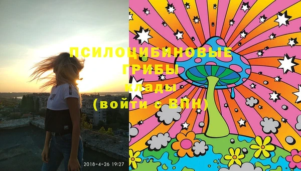марки lsd Дубна