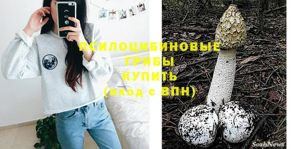 бошки Протвино
