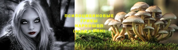 СК Приозерск