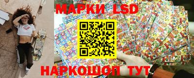 гидра Заводоуковск