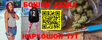гидра Заводоуковск
