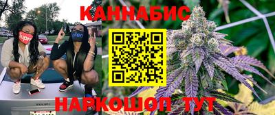 гидра Заводоуковск