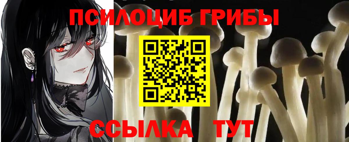 Галлюциногенные грибы Psilocybe  Набережные Челны  Псилоцибиновые грибы GOLDEN TEACHER 